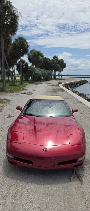 2001 Chevrolet Corvette C5 - Image 16 of 20