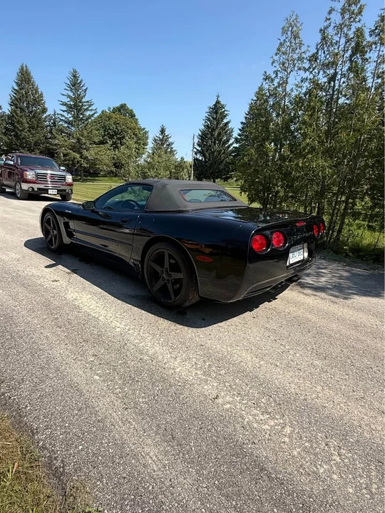 2001 Chevrolet Corvette C5 - Image 8 of 13