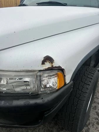 2001 Dodge Ram 2nd Gen - Image 8 of 13