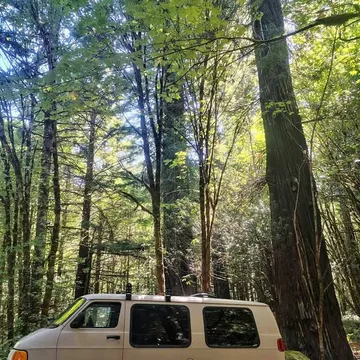 2001 Dodge Ram Van 1500 Van 3D