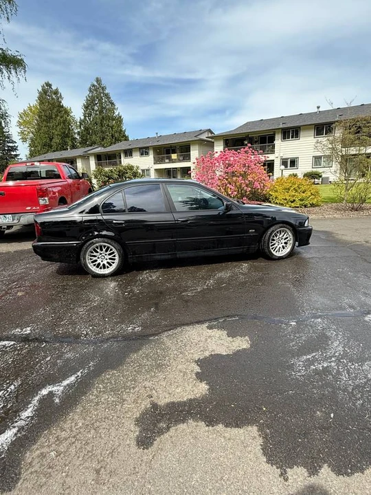 2001 BMW E39 5 Series - Image 8 of 14