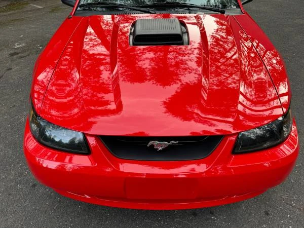2001 Ford SN95 Mustang - Image 7 of 16