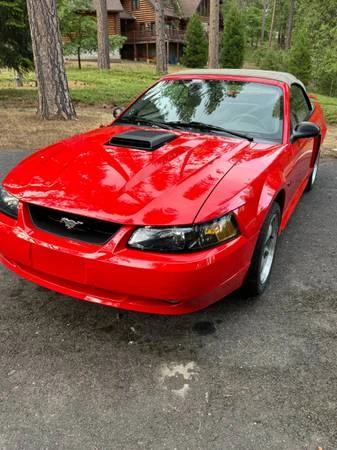2001 Ford SN95 Mustang - Image 6 of 16
