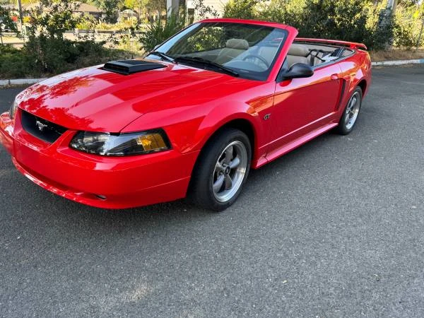 2001 Ford SN95 Mustang - Image 2 of 16