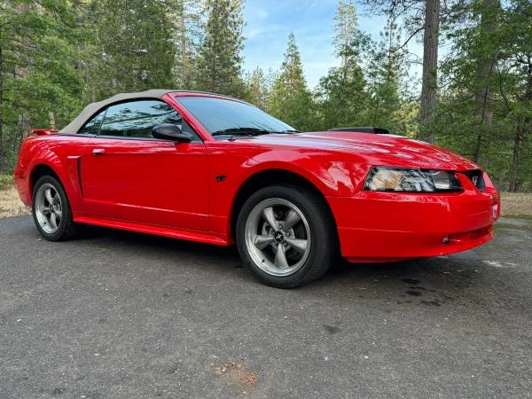 2001 Ford SN95 Mustang - Image 5 of 16