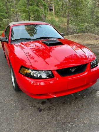 2001 Ford SN95 Mustang - Image 16 of 16