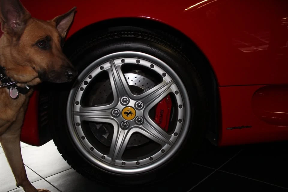 2001 Ferrari 360 Spider - Image 9 of 16