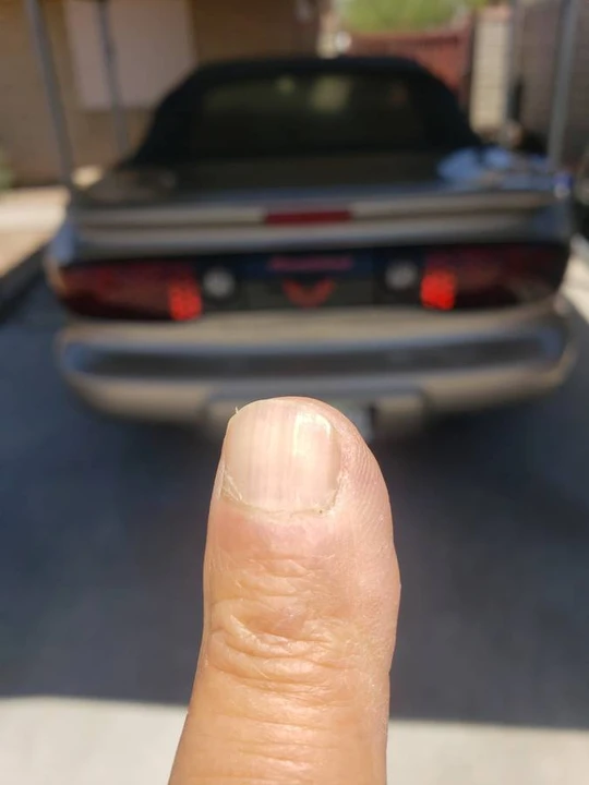 2001 Pontiac Firebird 4th Gen - Image 4 of 6
