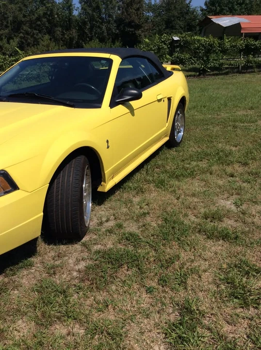 2001 Ford SN95 Mustang Cobra - Image 3 of 13