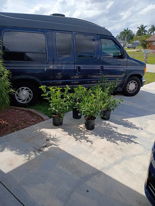 2001 Ford Econoline Van - Image 9 of 20