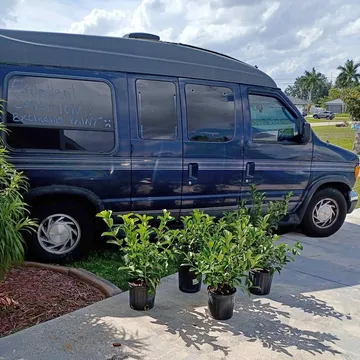 2001 Ford E150 Passenger XL Van 3D