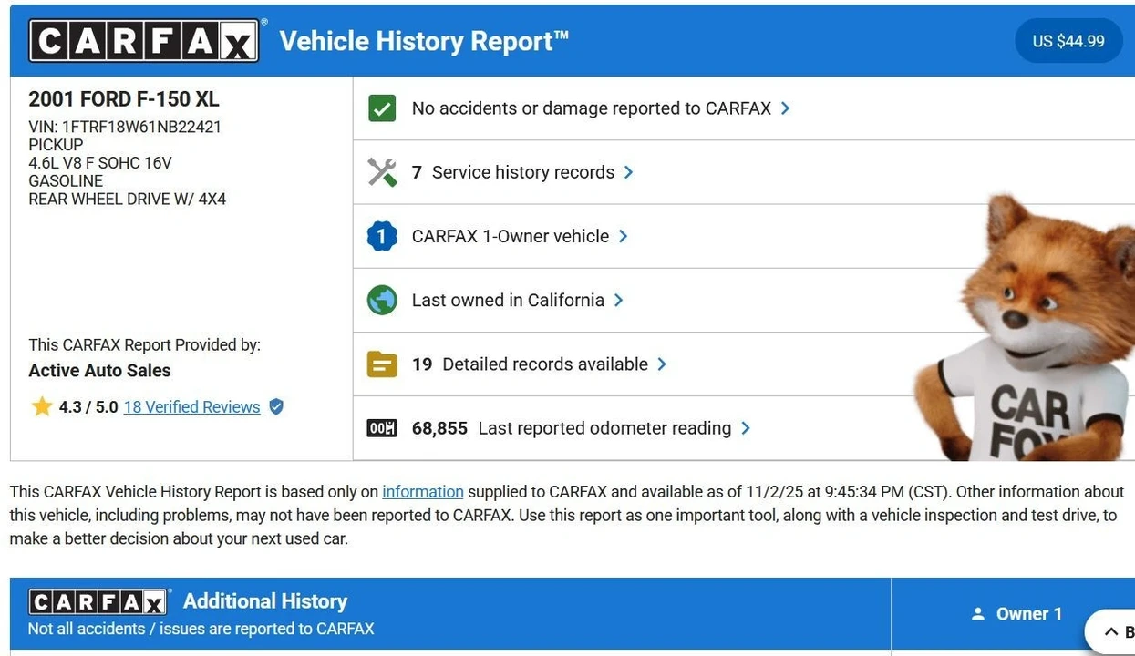 2001 Ford F-150 10th Gen - Image 19 of 20