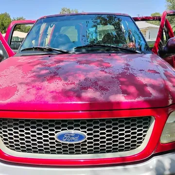 2001 Ford F-150 FX4 Pickup 4D 5 1/2 ft