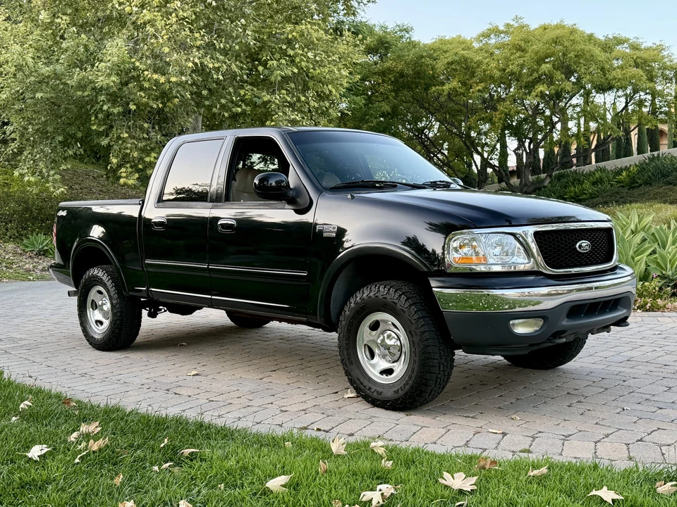 2001 Ford F-150 10th Gen - Image 18 of 31