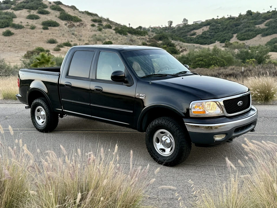 2001 Ford F-150 10th Gen - Image 28 of 31