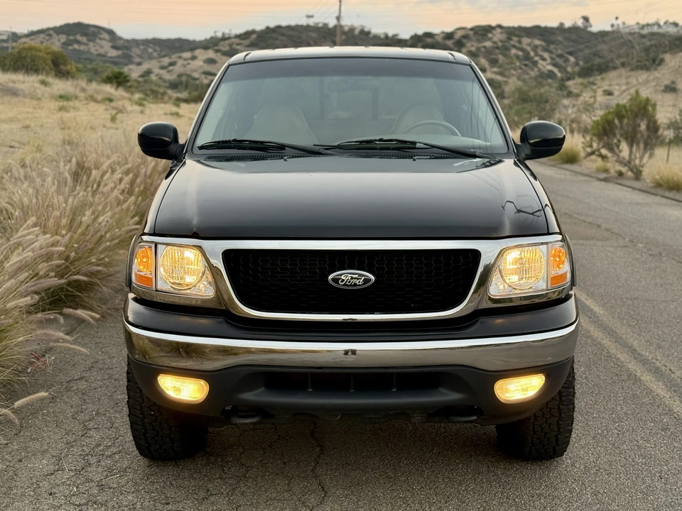 2001 Ford F-150 10th Gen - Image 15 of 31