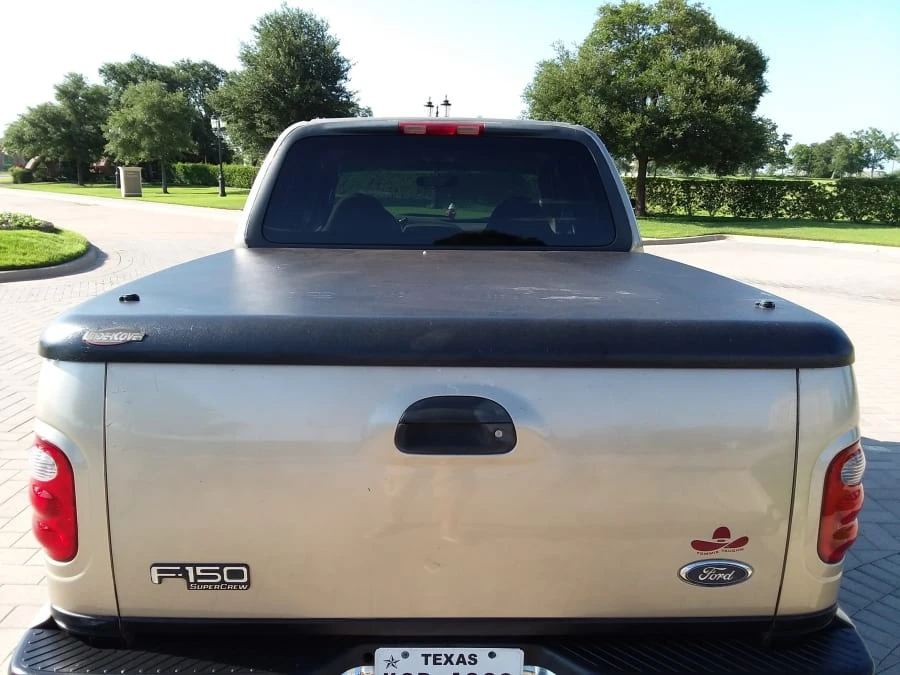 2001 Ford F-150 10th Gen - Image 9 of 11