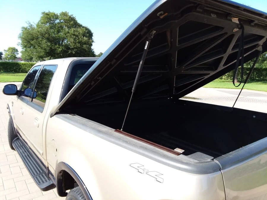 2001 Ford F-150 10th Gen - Image 10 of 11