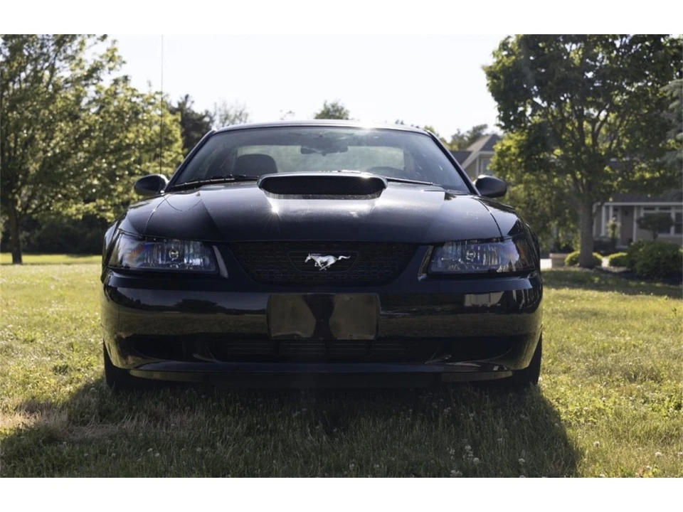 2001 Ford SN95 Mustang - Image 3 of 31