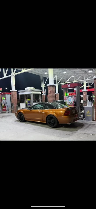 2001 Ford SN95 Mustang - Image 2 of 2