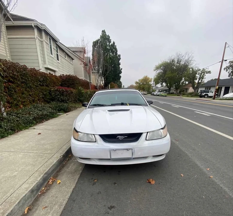2001 Ford SN95 Mustang - Image 2 of 6