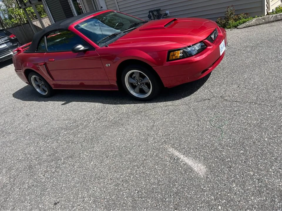 2001 Ford SN95 Mustang - Image 12 of 18
