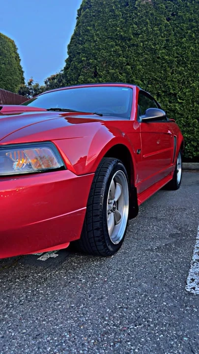 2001 Ford SN95 Mustang - Image 13 of 18