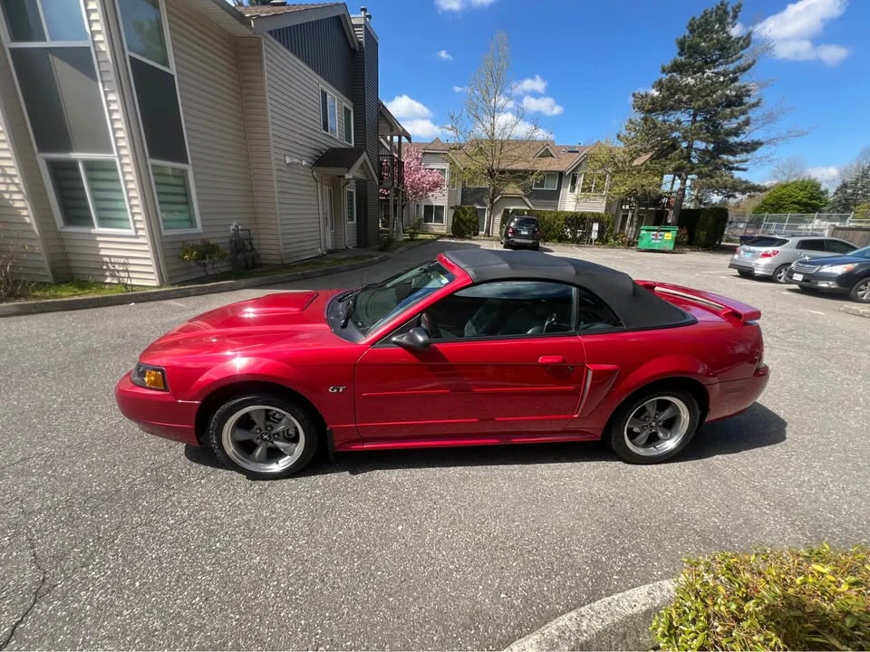2001 Ford SN95 Mustang - Image 14 of 18