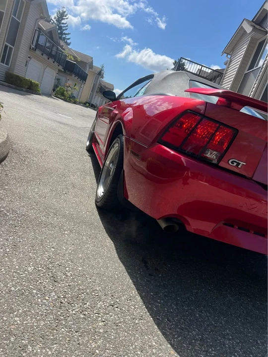 2001 Ford SN95 Mustang - Image 15 of 18