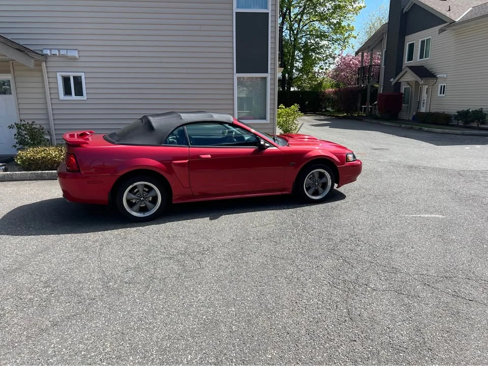 2001 Ford SN95 Mustang - Image 11 of 18