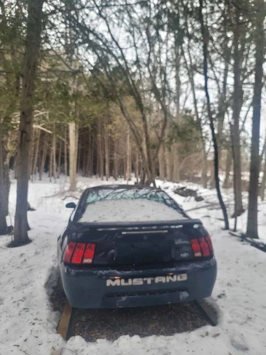 2001 Ford SN95 Mustang - Image 8 of 10