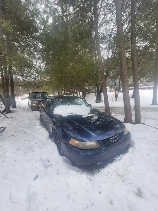 2001 Ford SN95 Mustang - Image 2 of 10