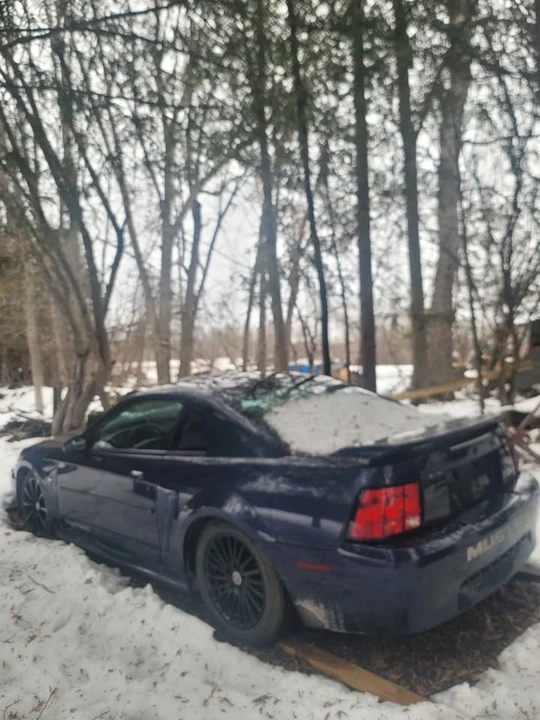 2001 Ford SN95 Mustang - Image 7 of 10