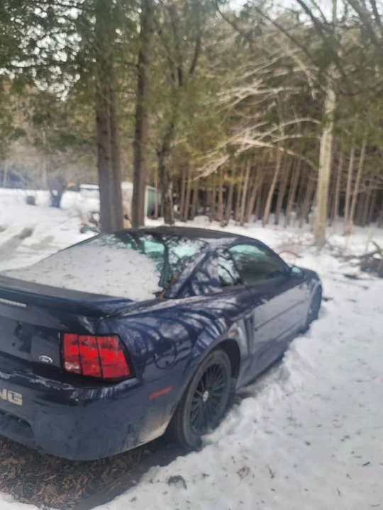 2001 Ford SN95 Mustang - Image 4 of 10