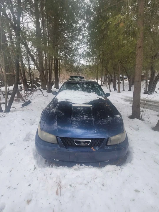 2001 Ford SN95 Mustang - Image 3 of 10