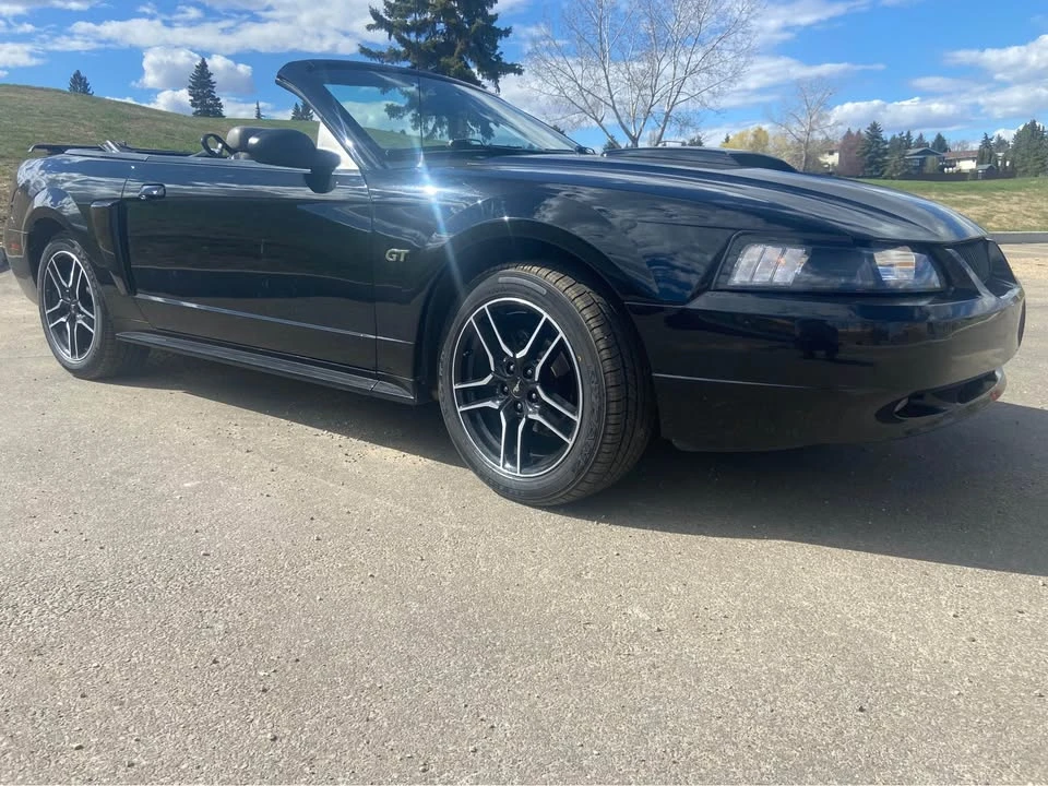 2001 Ford Mustang - Image 5 of 11