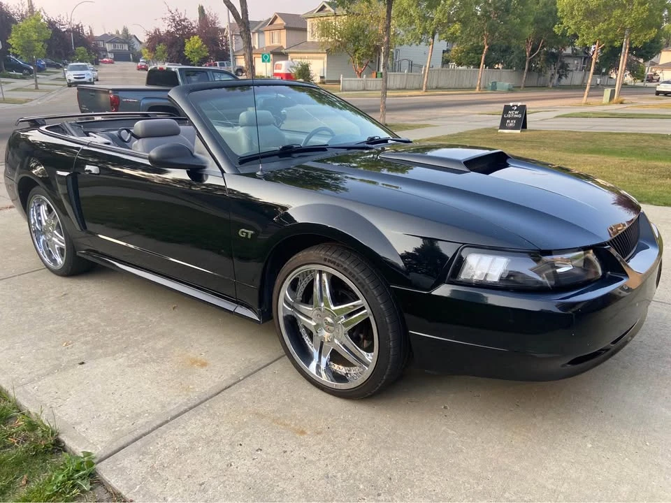 2001 Ford Mustang - Image 10 of 11