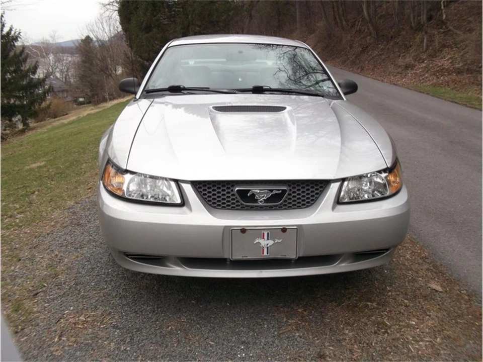 2001 Ford SN95 Mustang - Image 5 of 22