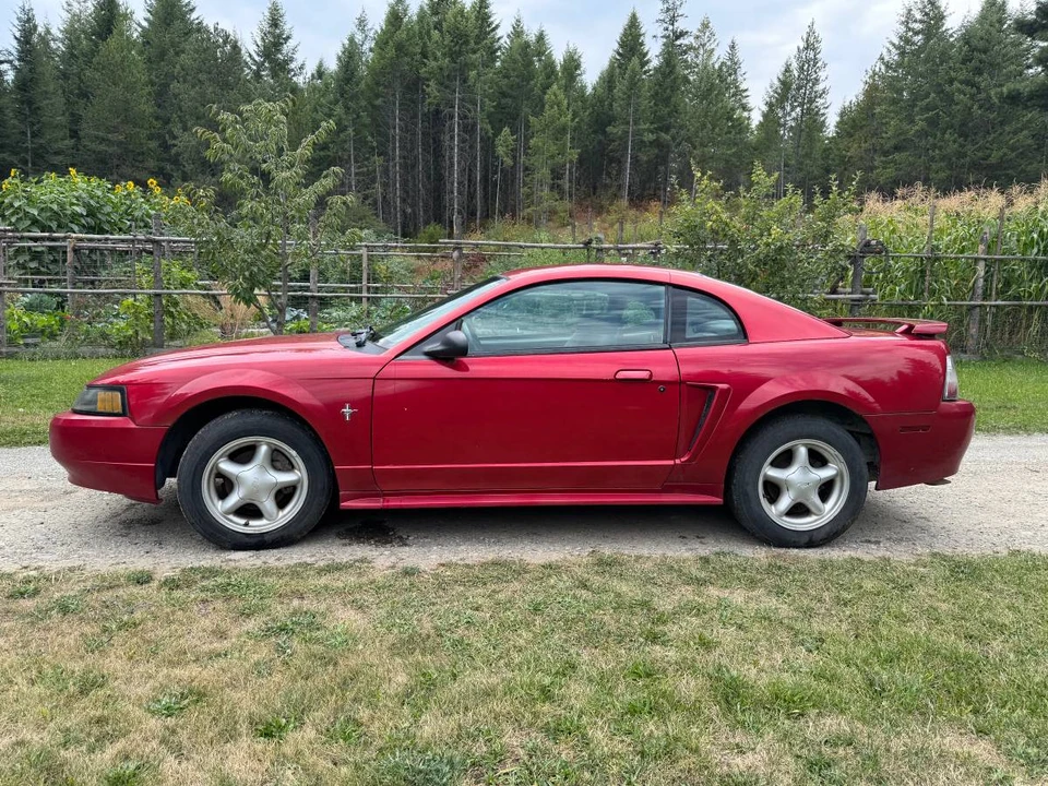 2001 Ford SN95 Mustang - Image 8 of 9