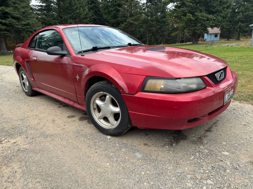 2001 Ford SN95 Mustang - Image 2 of 9