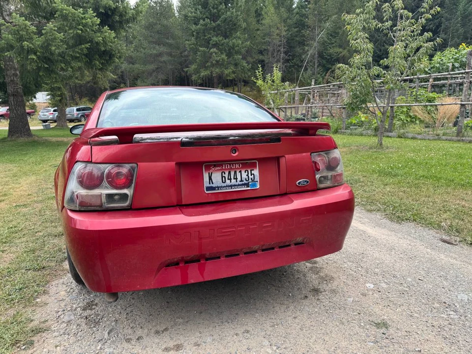 2001 Ford SN95 Mustang - Image 3 of 9