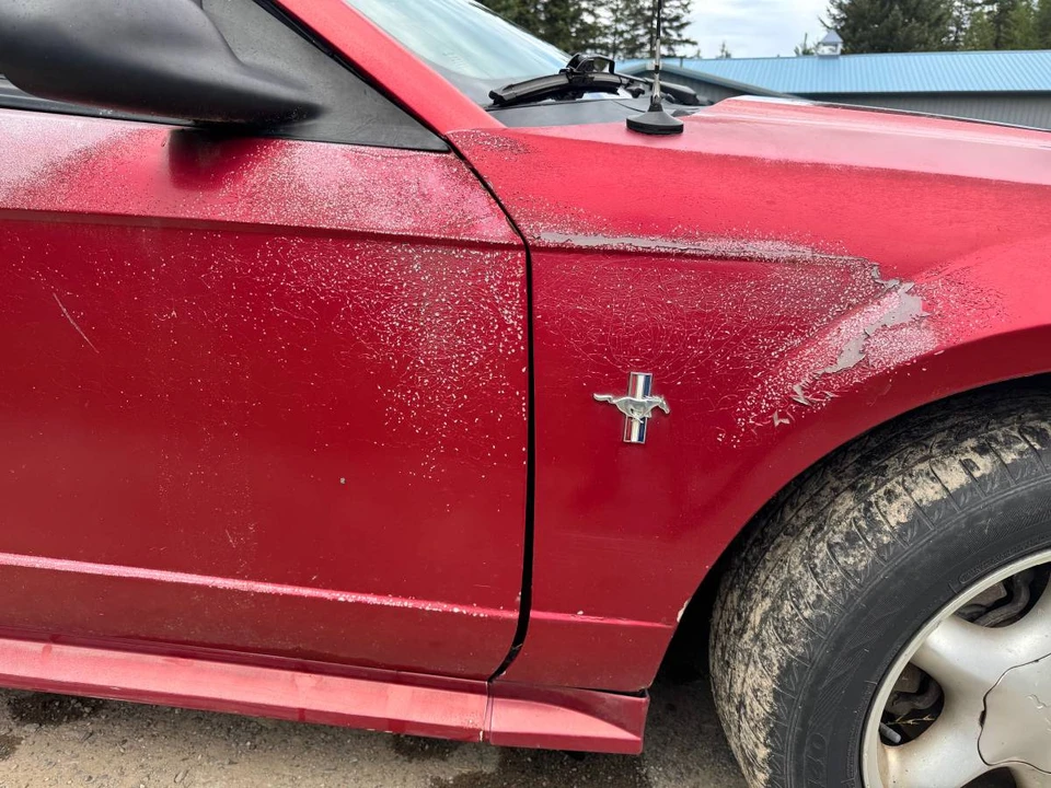 2001 Ford SN95 Mustang - Image 9 of 9