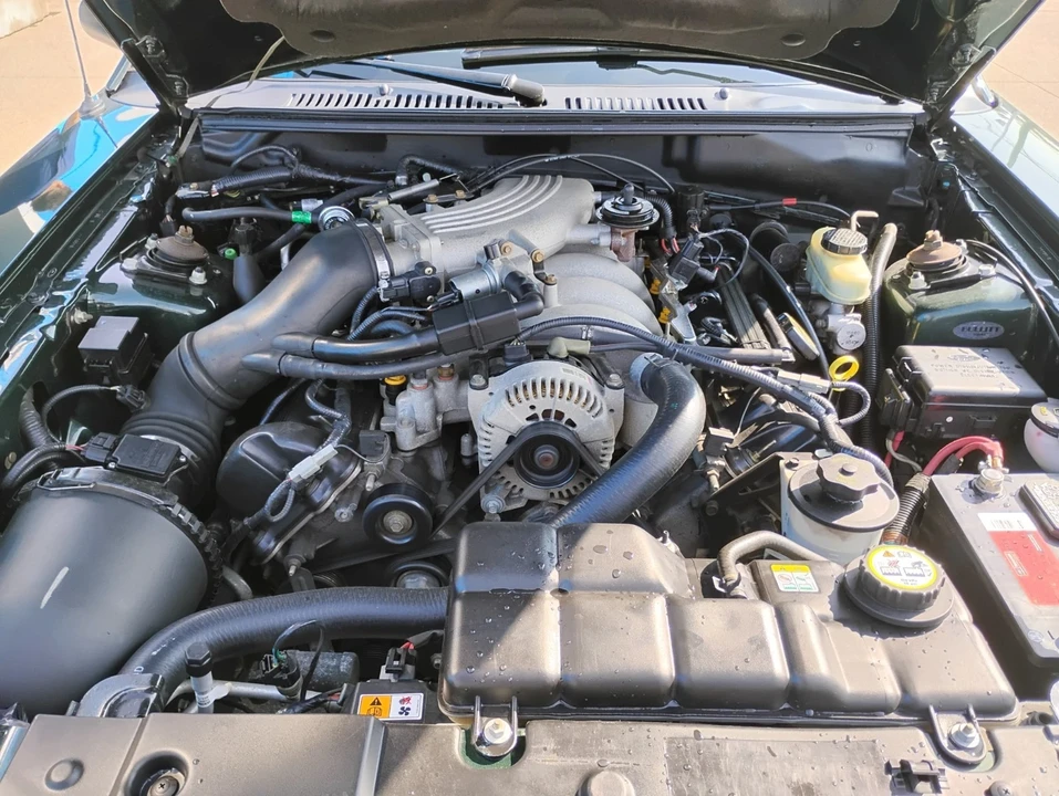 2001 Ford SN95 Mustang - Image 17 of 21