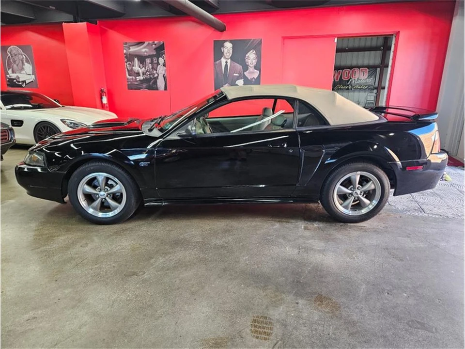 2001 Ford SN95 Mustang - Image 6 of 31
