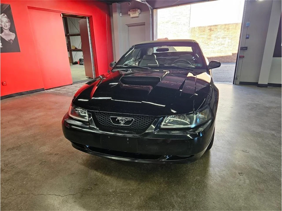 2001 Ford SN95 Mustang - Image 24 of 31