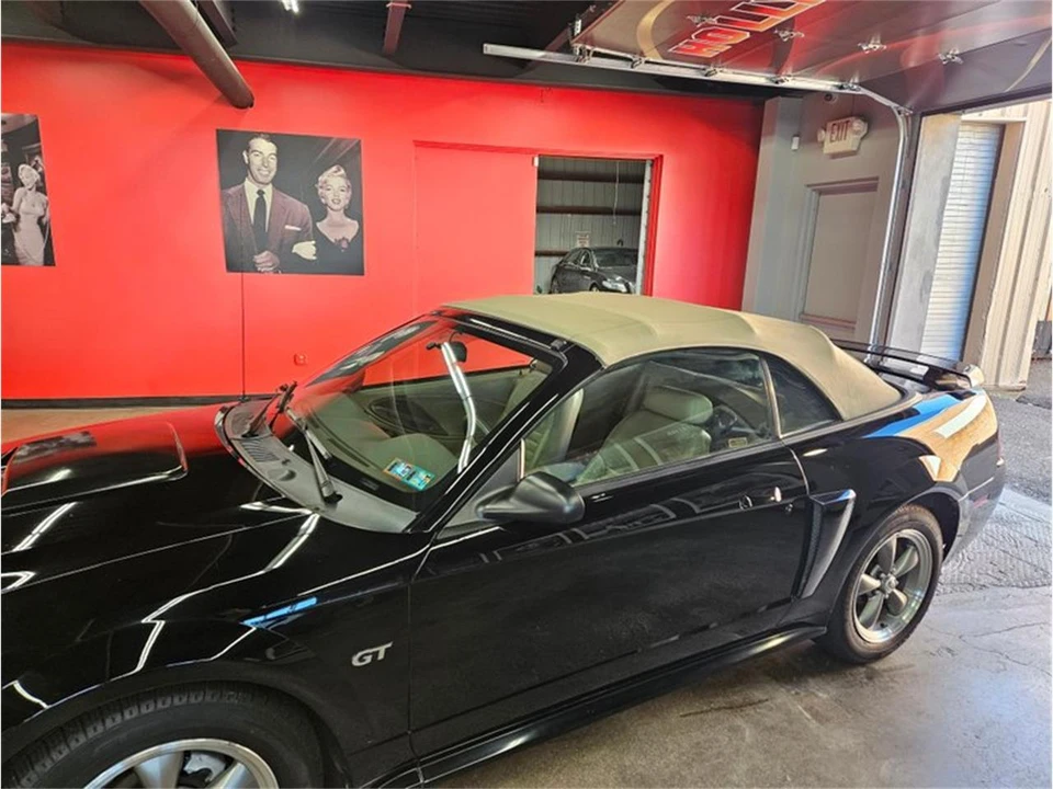 2001 Ford SN95 Mustang - Image 9 of 31