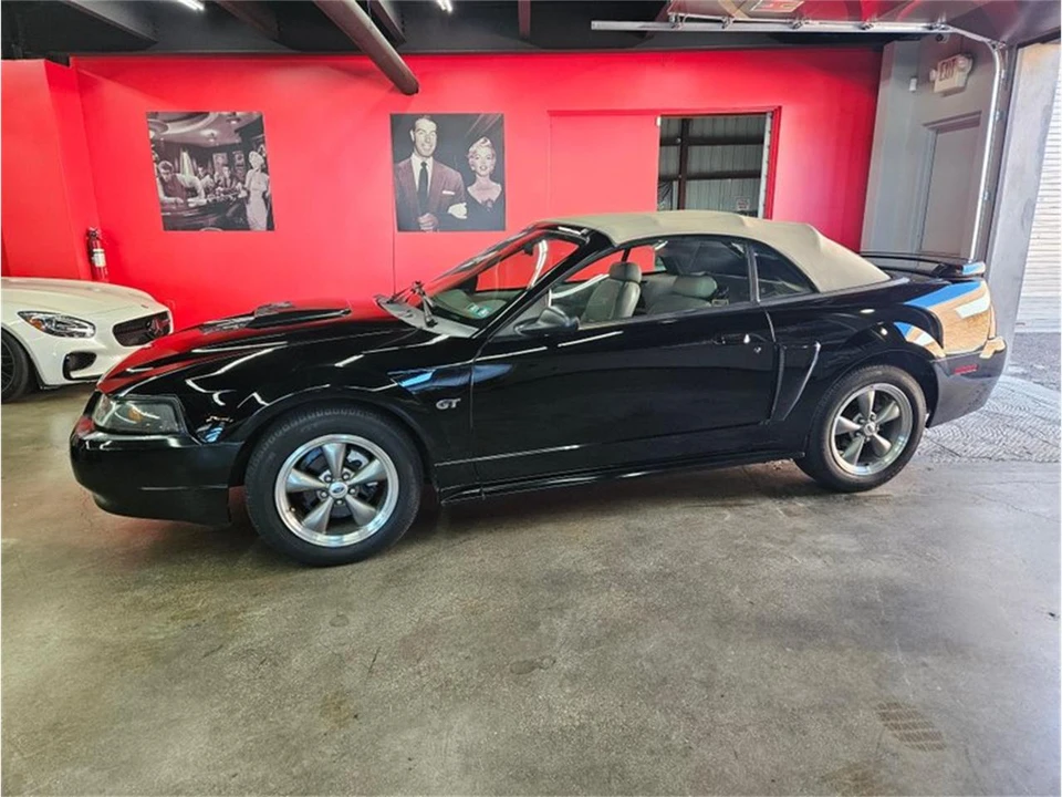 2001 Ford SN95 Mustang - Image 5 of 31