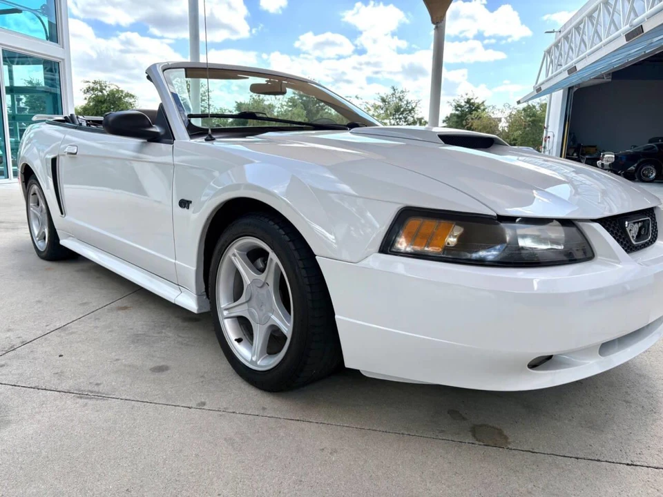 2001 Ford SN95 Mustang - Image 19 of 31