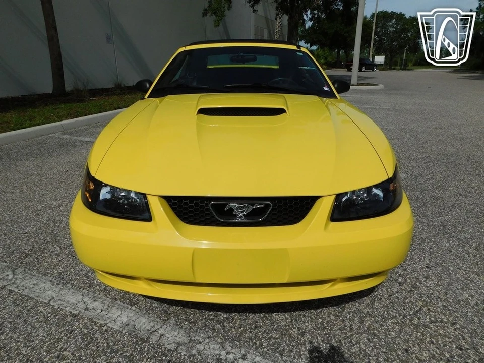 2001 Ford SN95 Mustang - Image 4 of 21