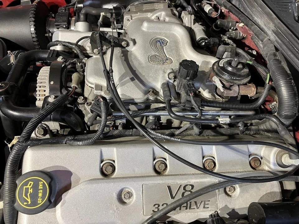 2001 Ford SN95 Mustang - Image 9 of 12